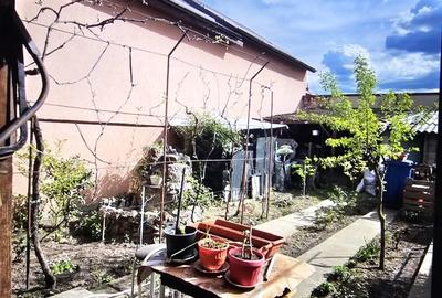 Casă individuală cu 3 camere cu Teren 279 Mp în Brestei - 12