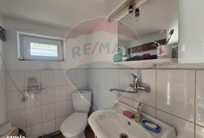 Casă cu 4 camere cu Teren 4700 Mp în Parincea - 7