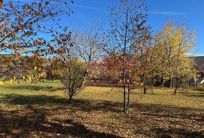 Teren de 1688 mp, în Brebu - 4