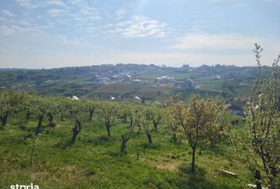 Teren de 3405 mp, în Spitalul Județean - 7