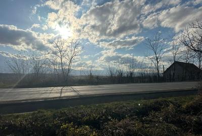 Teren Intravilan  2000mp, cu utilitati (P+E /M), spre vanzare in Daia Noua-Sibiu - 7