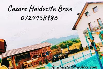 Casă cu 6 camere în Bran - 1