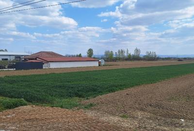 Teren Construcții intravilan de 4300 mp, în Petin - 2