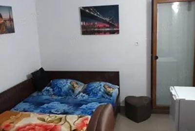Garsoniera la 20 min de centru la casa 170 euro - 2
