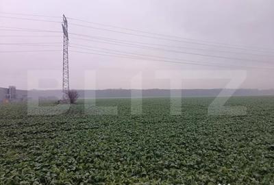 Teren de 15000 mp, în Păulești - 5