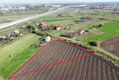Teren de 5000 mp in Satu Mare | Oportunitatea Perfecta pentru Casa Visurilor Tale | Proiect Imobilia - 7