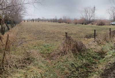 Culcea, 35 ari teren - 2