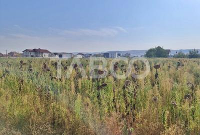 Teren intravilan de vanzare in Sebes drumul Petrestiului - 1