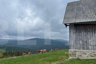 Ocazie! Casa de vacanta cu vedere la Lacul Belis - 3
