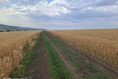 Teren Extravilan Pribesti, ID: R2774827 - 1