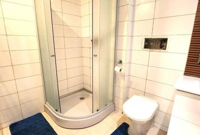 Apartament cu 2 camere decomandat, mobilat în Vitan-Bârzești - 4