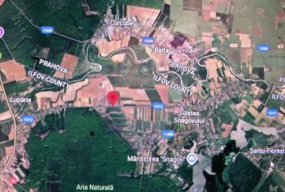 Teren Construcții intravilan de 5000 mp, în Ciolpani - 6