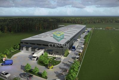 Teren de vanzare cu autorizatie pentru 2 hale - Otopeni - 10.000 mp - 5