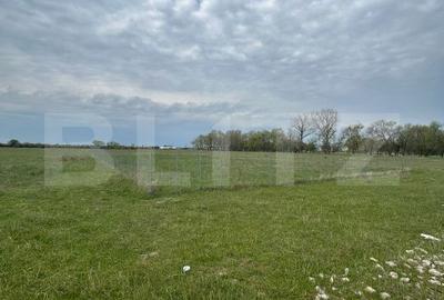 Teren de 695 mp, în Moșnița Nouă