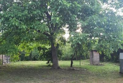 Teren intravilan, casa demolabila in Dumbravesti, Prahova - 5