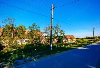 Casă cu Teren 5000 Mp în Saravale - 4