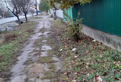 Teren de 3500 mp, în Domnești-Târg - 1