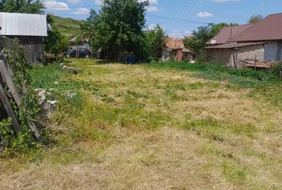 Teren de 2300 mp, în Borșa - 2