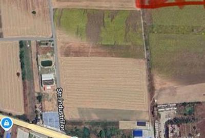 Teren de 9900 mp, în Coteana - 1