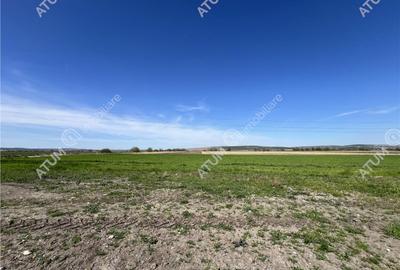 Teren intravilan in Sibiu 3300 mp situat in zona Calea Suri - 1