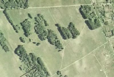 Teren de 25000 mp, în Dunavățu de Jos - 3