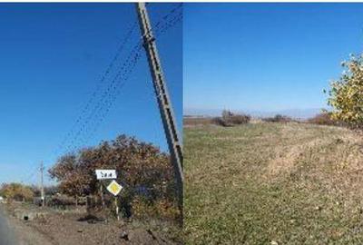 Teren de 10000 mp, în Șiria - 5