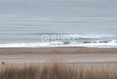 OLIMP  (Cod 01) - Complex NOVUM BY THE SEA - 22