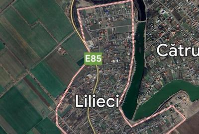 Sat  Lilieci  Comuna Sinesti  Dn2 Teren Extravilan  27 000mp - 1