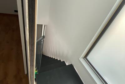 Casa individuala/unifamiliana Catelu 800m metrou Anghel Saligny - 23