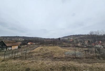 Teren de 1740 mp, în Șura Mare - 1