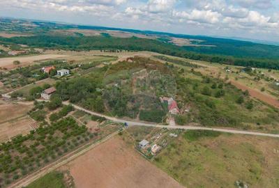 De vanzare Teren 3995mp intravilan Saldabagiu de Munte - 8