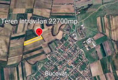 Bucovat - Lot Intravilan 2.27 Ha, PUZ inceput, Rezidentia... - 3