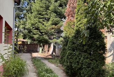 Casa individuala  6 camere de vanzare in Clinceni teren 1000mp - 14