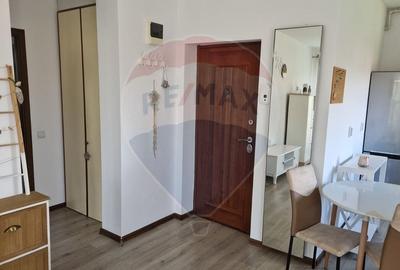 Apartament cu 2 camere de inchiriat cu parcare Floresti - 11