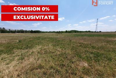 COMISION 0% Teren de vanzare intravilan de 5000 mp in Chisoda - 6