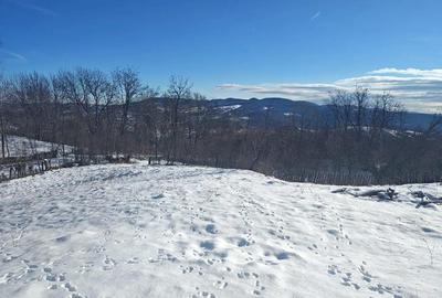 Teren + Casa Batraneasca Sat Serbanesti Salatrucel - 4