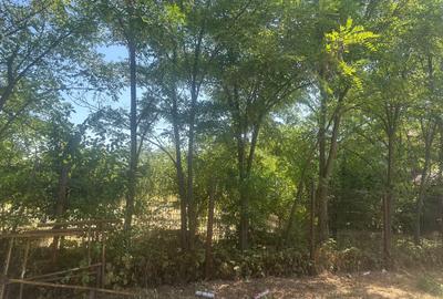 Casa pe Parter - strada privata - aproape de DN1 si A0 - 3