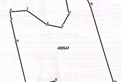 Teren extravilan de 6000 mp, în Fârdea - 4