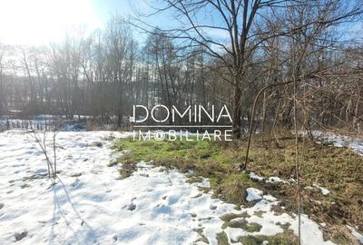 Casă individuală cu 5 camere cu Teren 2333 Mp în Arcani - 6