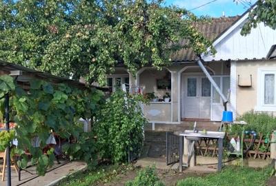 Casa si teren 2000mp Draguseni - 4