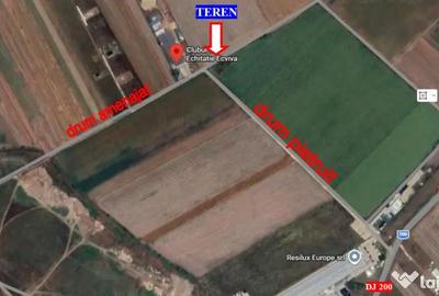 Teren de 10000 mp, în Dascălu - 7