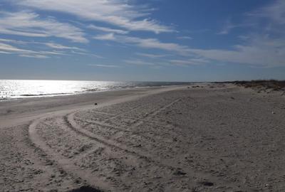 Teren agricol extravilan de 1000 mp, în Săcele - 3