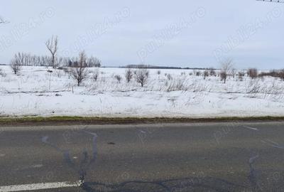 Spațiu comercial, în Pasărea - 2