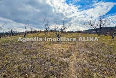 15 parcele de Teren intravilan in Deva, zona Calugareni, Strada Prunilor, Jud. Hd, cu PUZ, PUD, etc. - 14