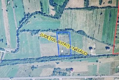 Teren de 9600 mp, în Livezile - 1