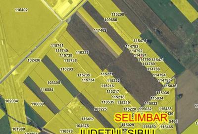 Spațiu comercial, în Șelimbăr - 7