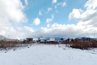 Teren Rezidential Zarnesti - 6