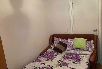 Apartament cu 2 camere decomandat în Mureșeni - 5