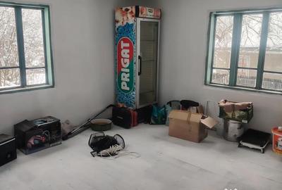 Casă cu 3 camere în Urseiu - 4