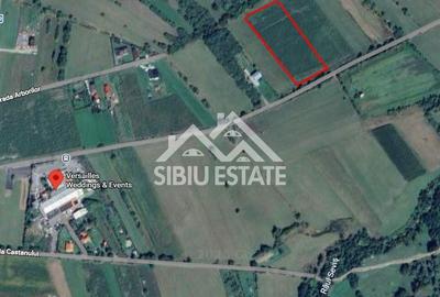 Teren de 8600 mp, în Sadu - 3